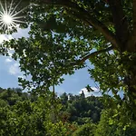 Thalmuehle Lejlighedshotel