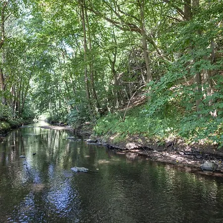 Thalmuehle Апарт-отель *