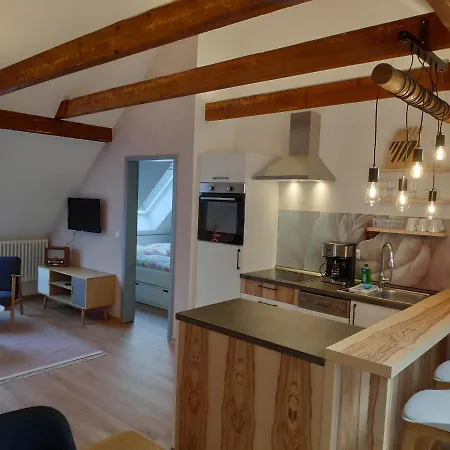 شقة فندقية Thalmuehle Meisdorf