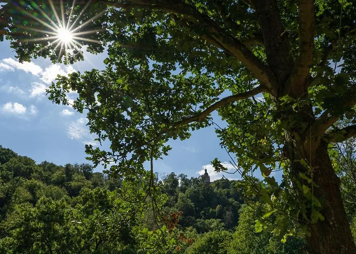 Thalmuehle شقة فندقية